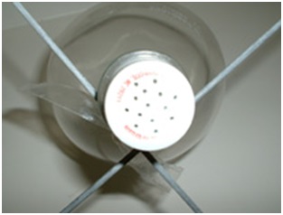 untitled4.jpg untitled4.jpg